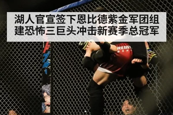 湖人官宣签下恩比德紫金军团组建恐怖三巨头冲击新赛季总冠军