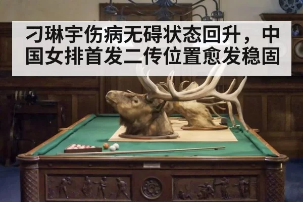 刁琳宇伤病无碍状态回升，中国女排首发二传位置愈发稳固