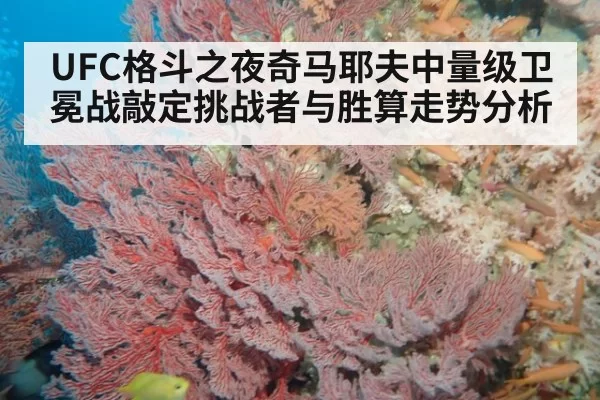 UFC格斗之夜奇马耶夫中量级卫冕战敲定挑战者与胜算走势分析
